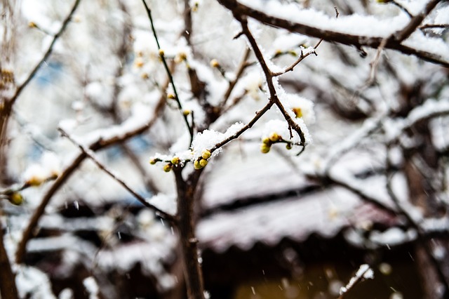 参与成焦点